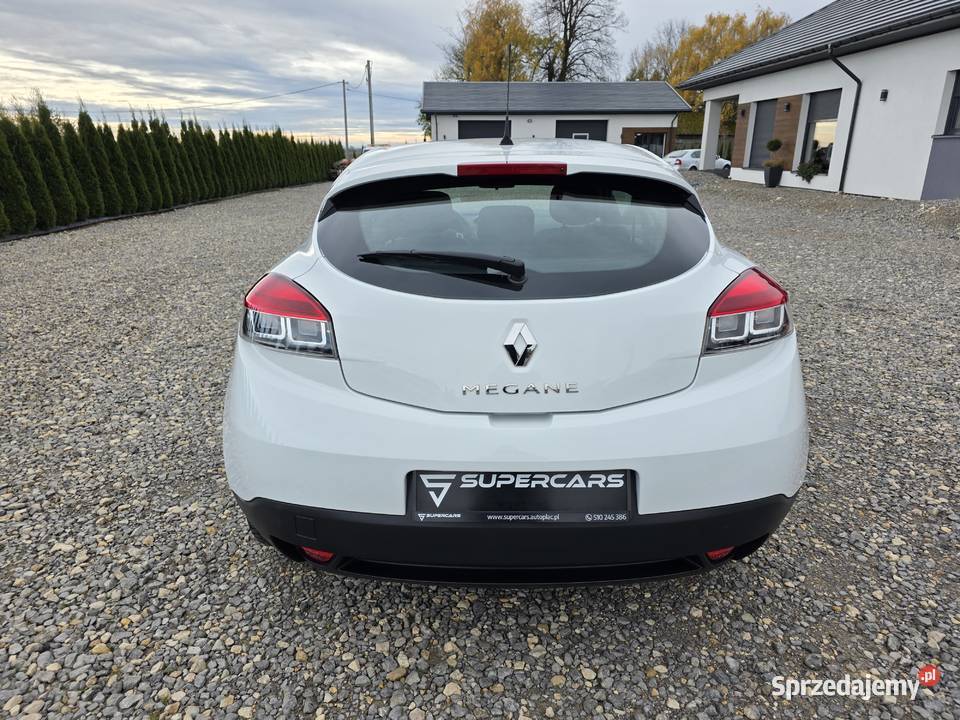 Renault Megane16 16V 110 DYNAMIQUE RATY Buk