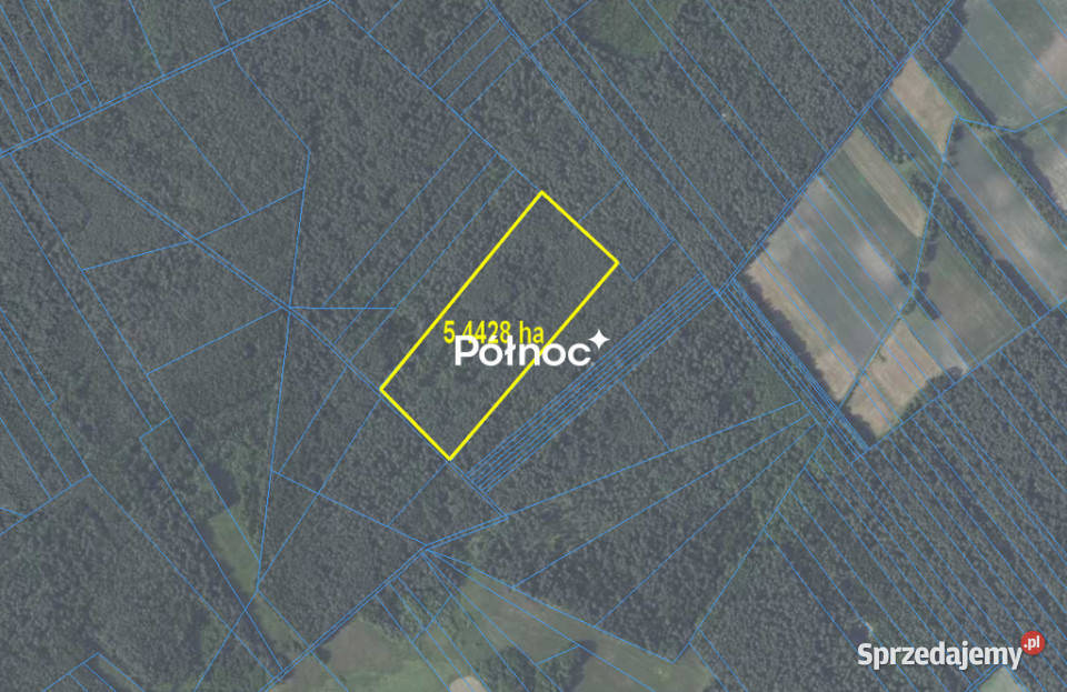 Działki leśne do sprzedaży Mokre gm Rossosz 115m