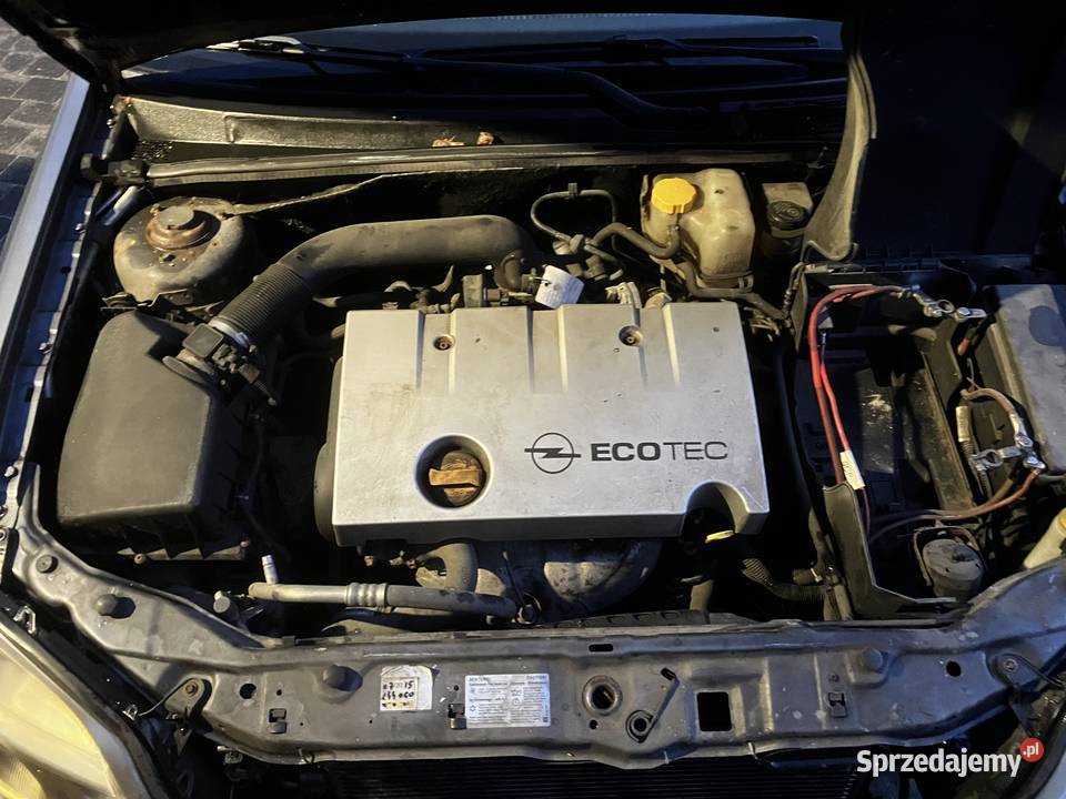 Opel Signum 18 2004r benzyna