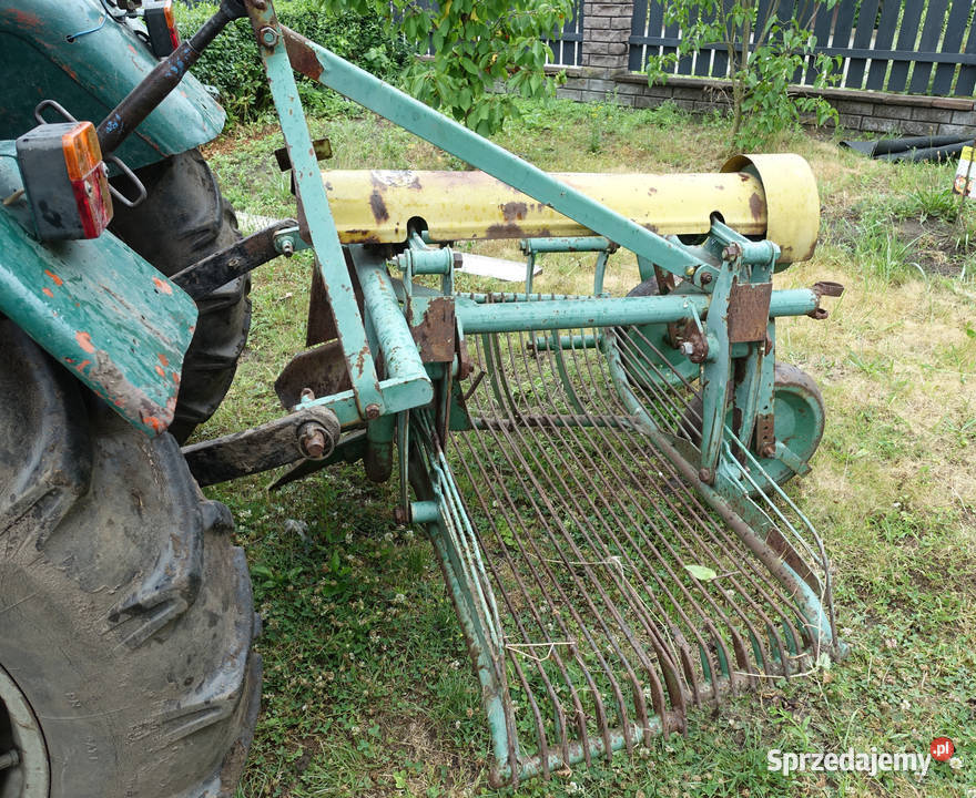 Kopaczka do ziemniaków jednorzedowa Pozostałe Święta Katarzyna
