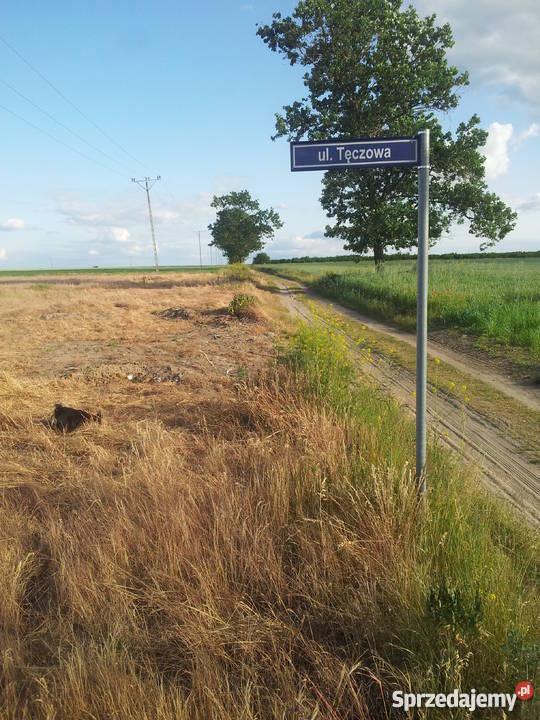 Działki budowlane w Witkowie koło Stargardu Grunty i działki Witkowo Drugie
