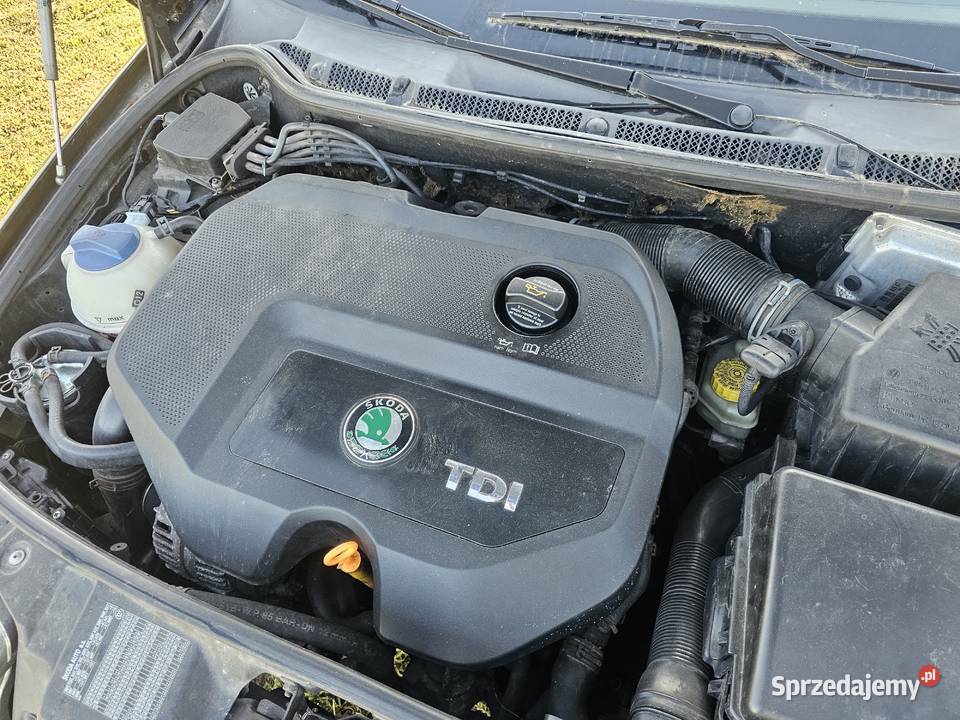 Skoda Fabia dolnośląskie Bukowice