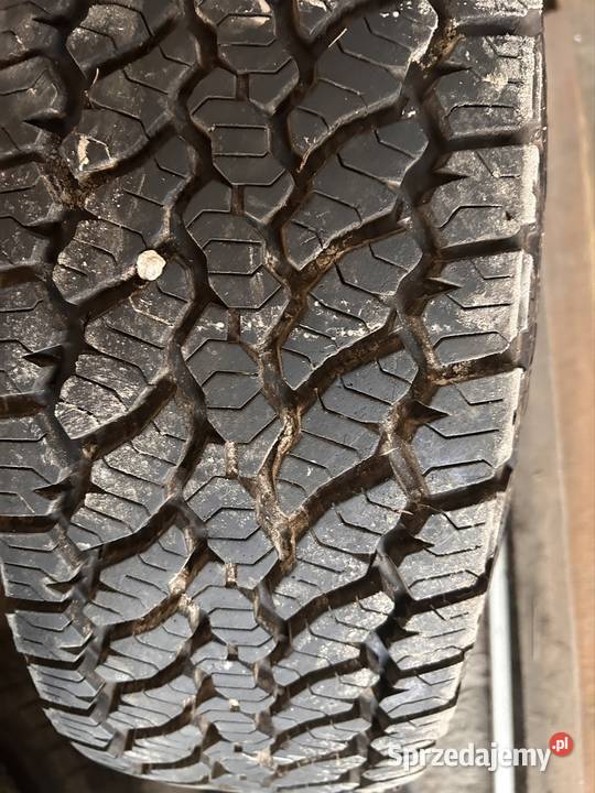 Samurai 19 td Janów Lubelski