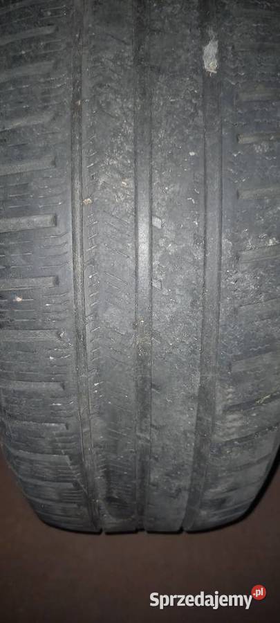 Vredestein Quatrac 5 2156016 wielosezonowe 215 Parczew
