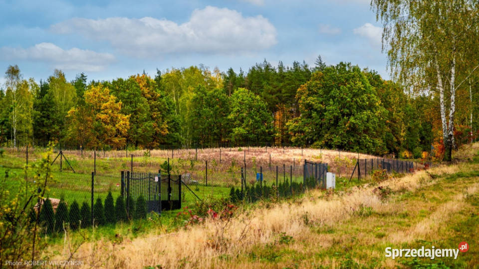 Mazowsze działka marzeń na wzgórzu las i cisza Jeziórka sprzedam