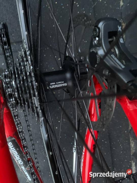 Rower trekkingowy Dynamics Trekkingowe Sława