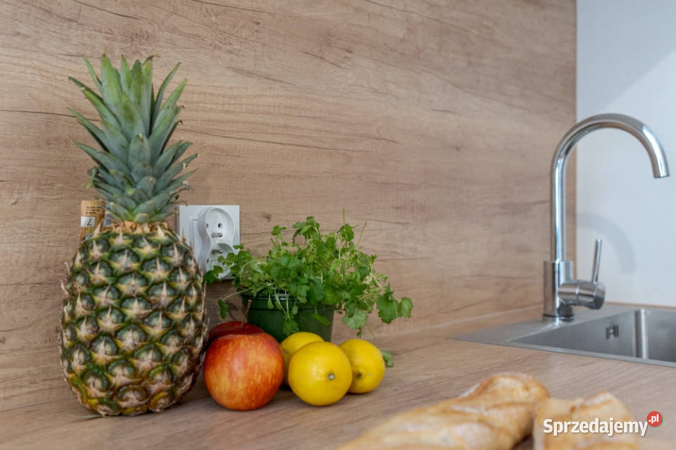 STUDIO KAWALERKA 2 Manufaktury do wprowadzenia łódzkie