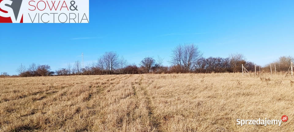 Słoneczna działka budowlana w Szczawnie Zdroju Szczawno-Zdrój