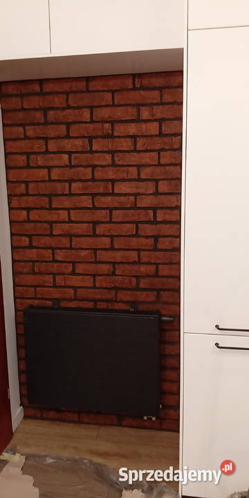 Remonty mieszkań i domów Remont i budowa Poznań