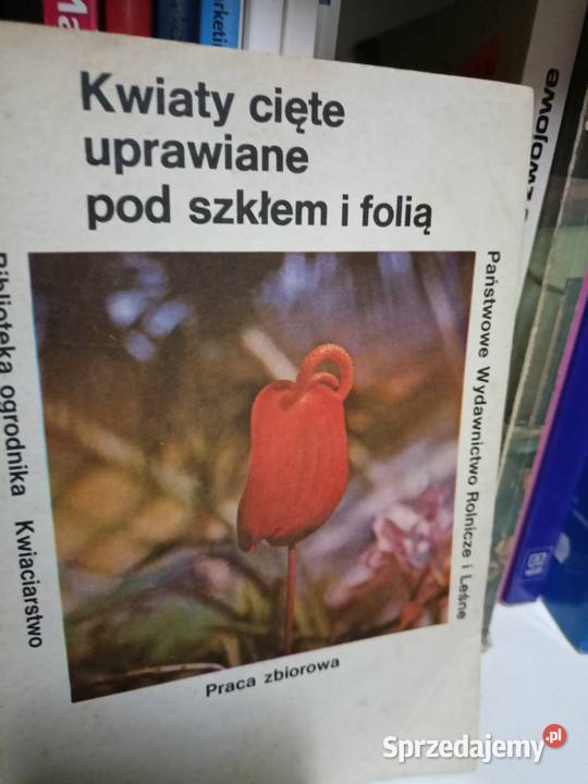 Kwiaty cięte podręczniki szkolne księgarnia Warszawa Praga