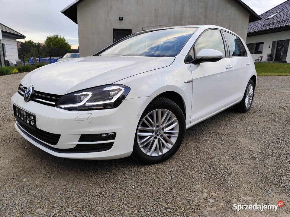 Volkswagen Golf VII 16 TDI 110 Gorlice