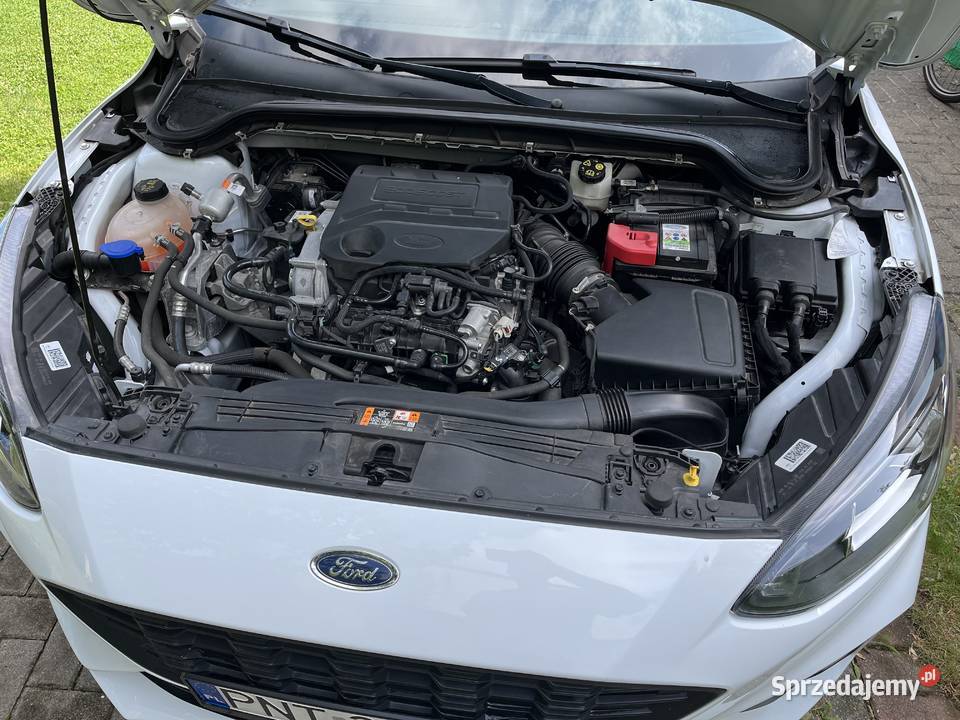 Ford Focus MK4 STLINE 2019 Automat 10 wspomaganie kierownicy Focus Opalenica