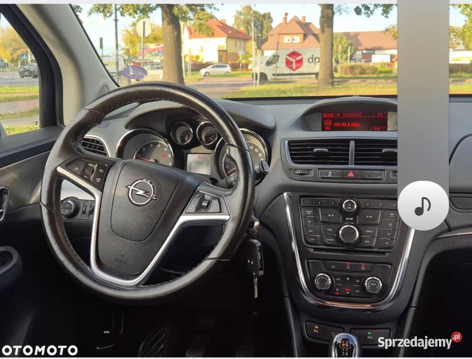 Sprzedam opla mokke wielkopolskie