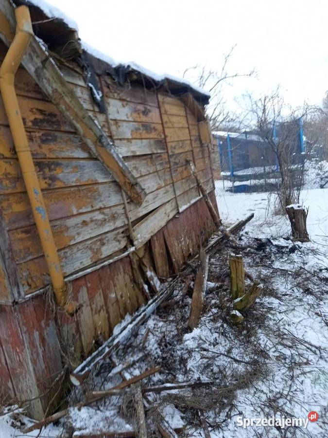 Sprzedam działkę ROD Kalina Zawilcowa z domkiem Sprzedaż