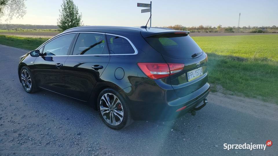 Kia ceed 2017 Automat Diesel 7biegowy Kia Gołuchów