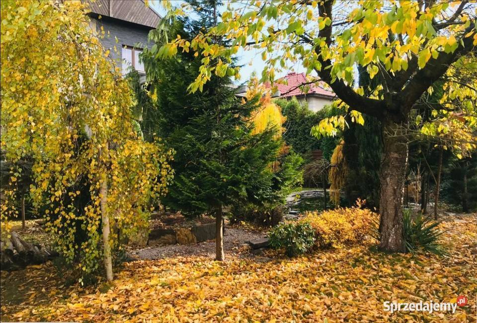 5pok 250met oś Sienkiewicza PIWNICAOGRÓDGARAŻ taras Legnica