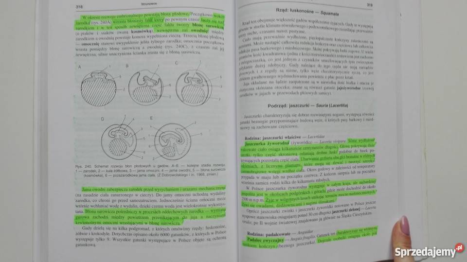 Zoologia uczelni rolniczych JHempelZawitkowska Olsztyn