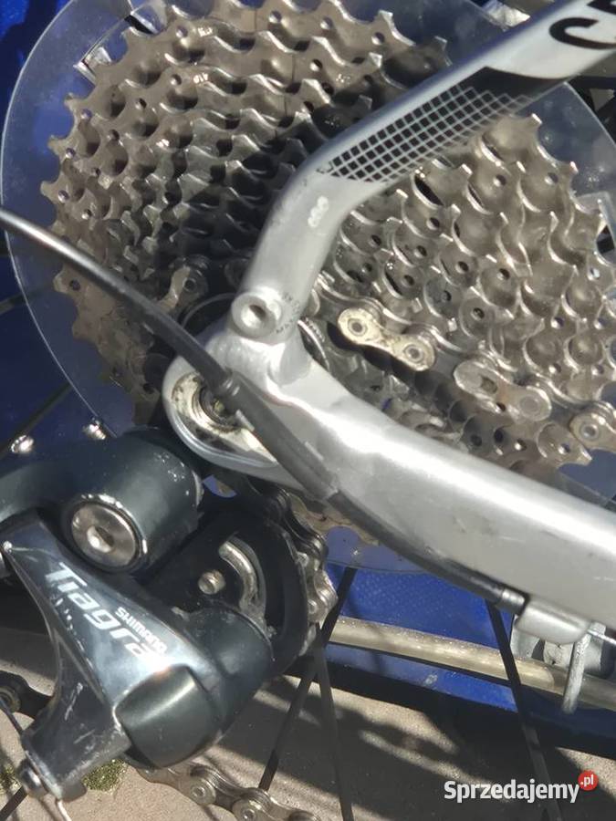 CANYON Model GRAIL al 60 L Poddębice
