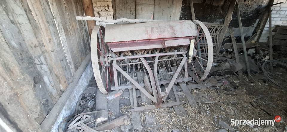 Siewnik nieuszkodzony podkarpackie Tuczempy