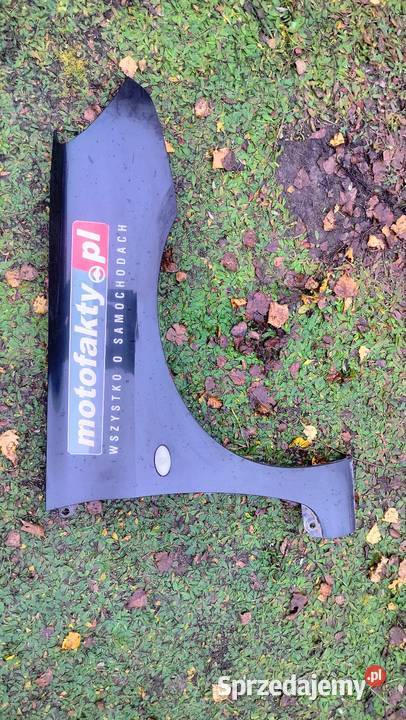 Błotnik przedni lewy prawy Peugeot 307 Bydgoszcz sprzedam