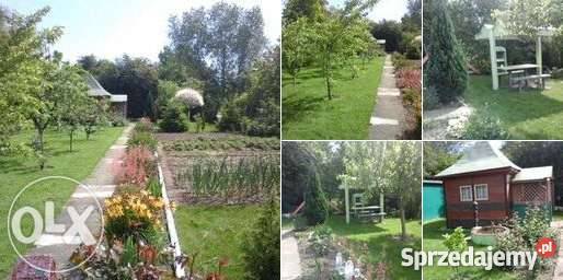 Działka rekracyijna POD Pod Pająkiem Legnica sprzedam