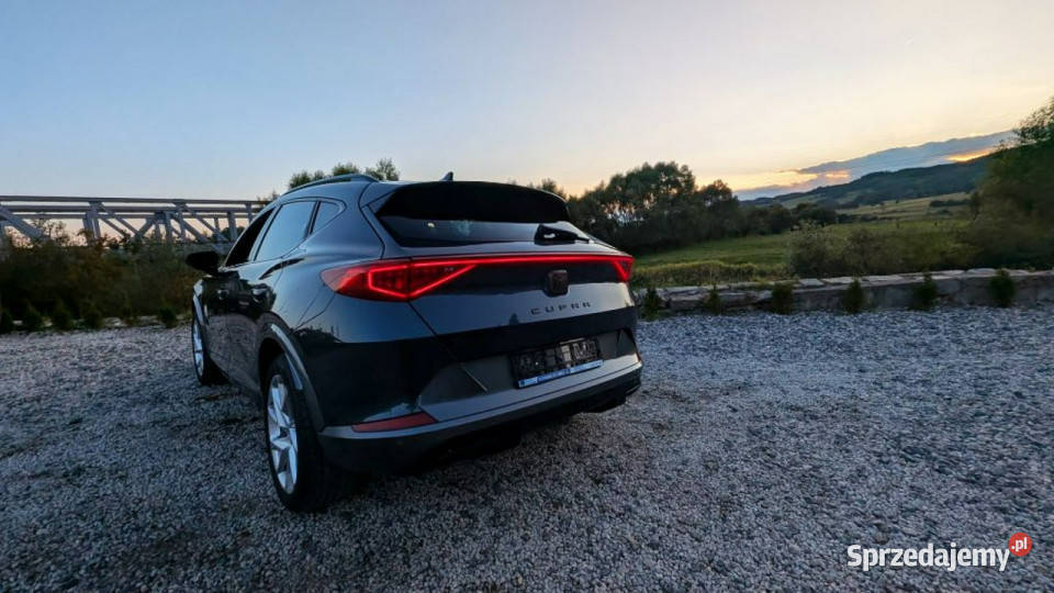 Cupra Formentor Ambiente Grzana Kierownica centralny zamek