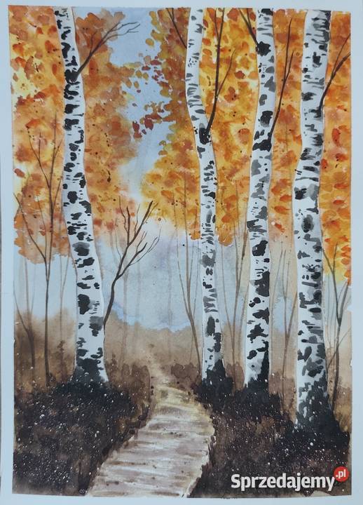 Akwarela Akwarelka Obraz pt Brzozy 073 Katowice