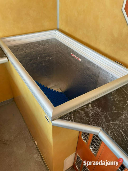 Fiat Ducato Autosklep wędlin Gastronomiczna food nieuszkodzony Syców