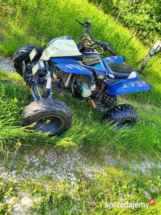 Quad bashan 200