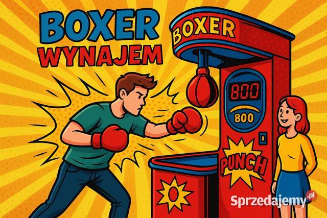 Wynajem automat siłomierz bokser boxer na Wrocław