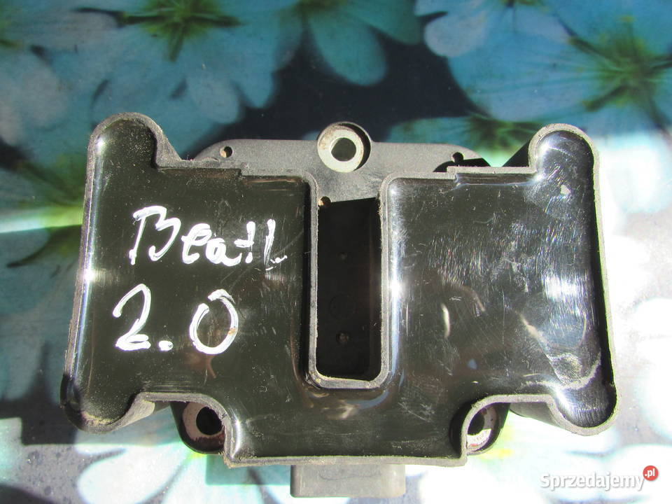 Cewka 109 310 101011 311740 Bogacica