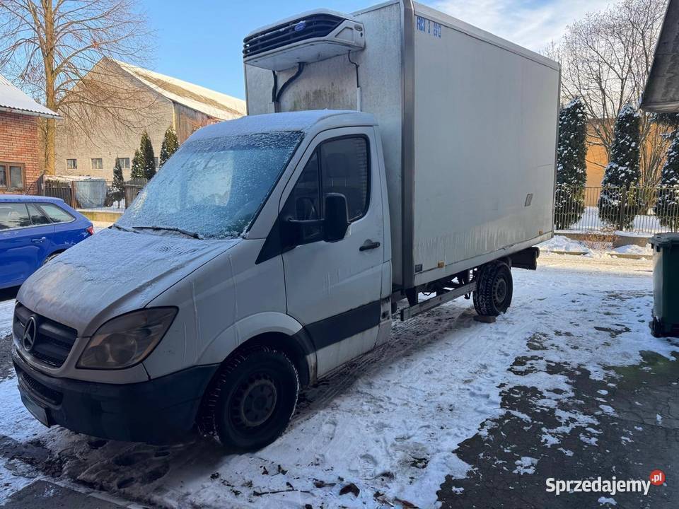 Mercedes Sprinter 311 chłodnia komorowa Skała