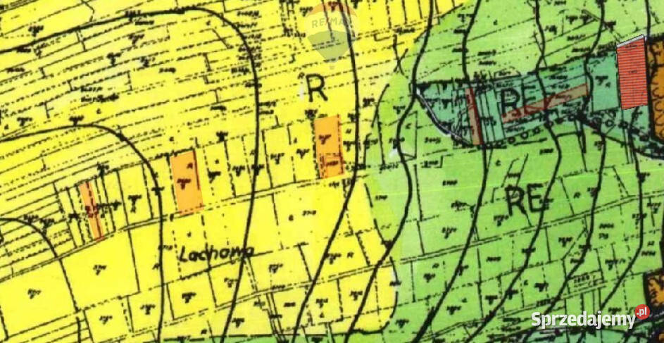 DZIAŁKI ROLNE W WITOWIE Witów sprzedam
