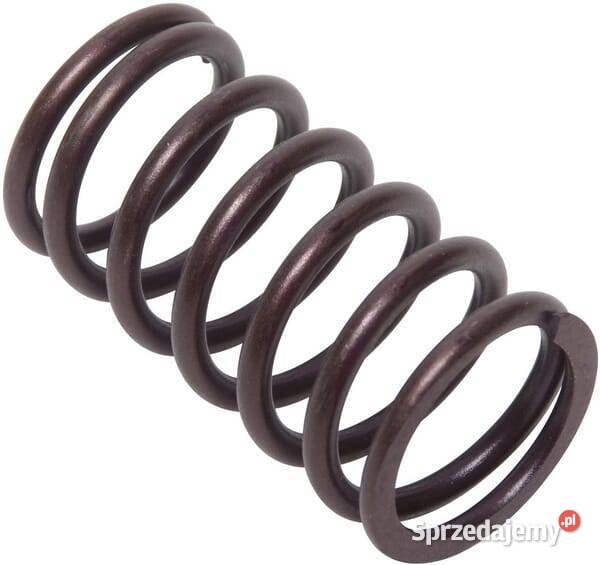 Sprężyna zaworu 692084 Kamionna