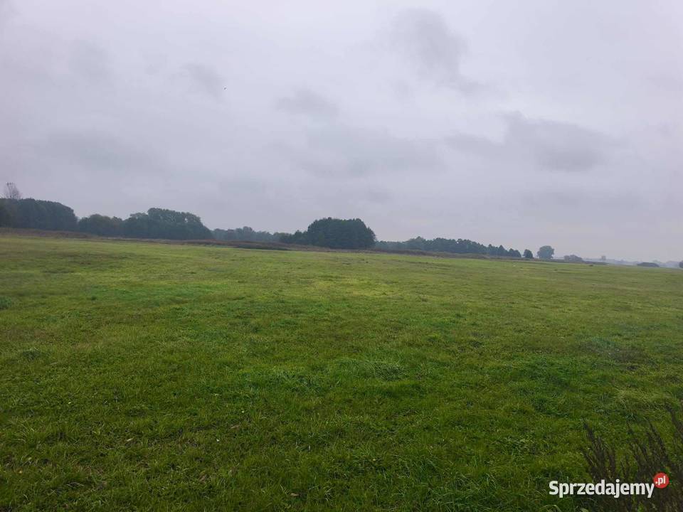 DWIE ŁĄKI W MIEJSCOWOŚCI LĄDEK GMINA LĄDEK 1002m2 wielkopolskie Lądek