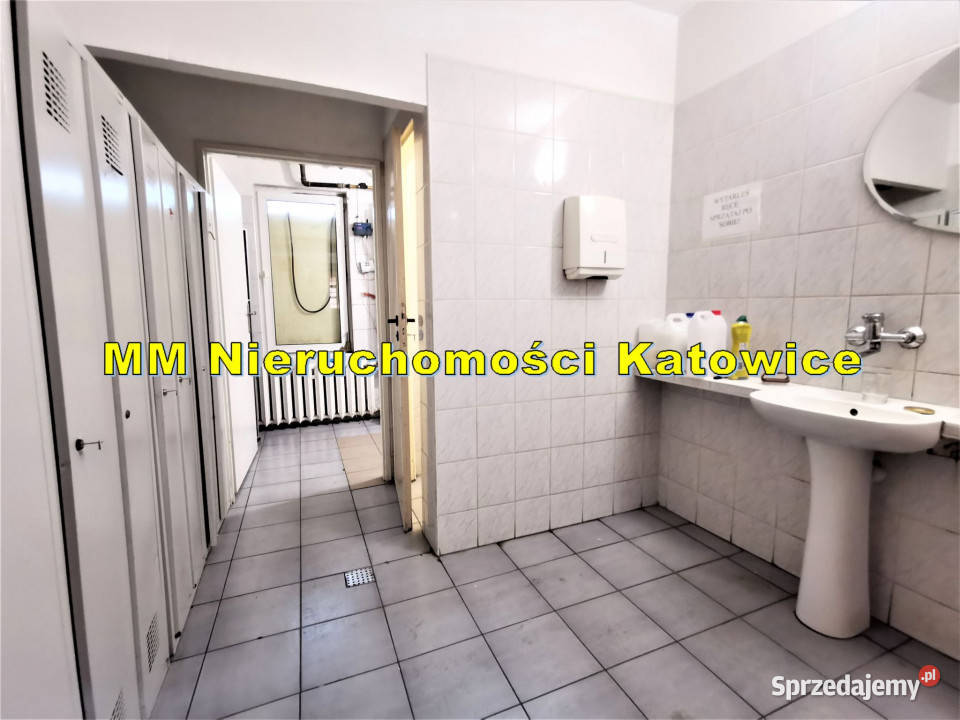 Magazyn biura salon sprzedaży sala szkoleniowa winda śląskie Katowice