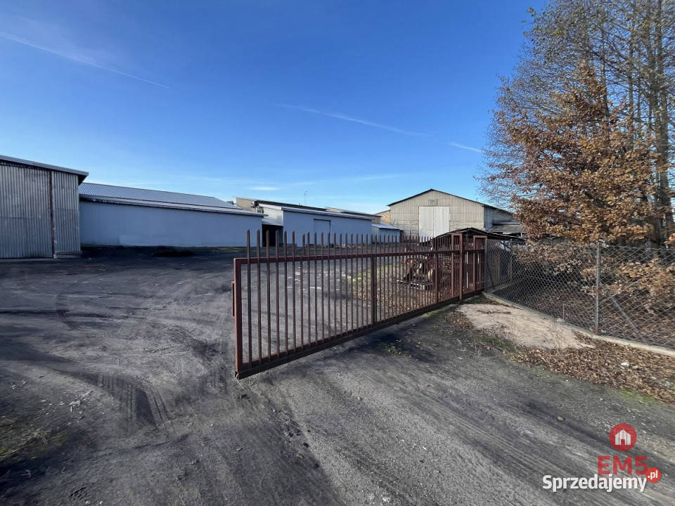 Do wynajęcia lokal Białystok 500m2