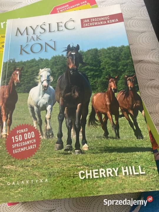 Myśleć koń