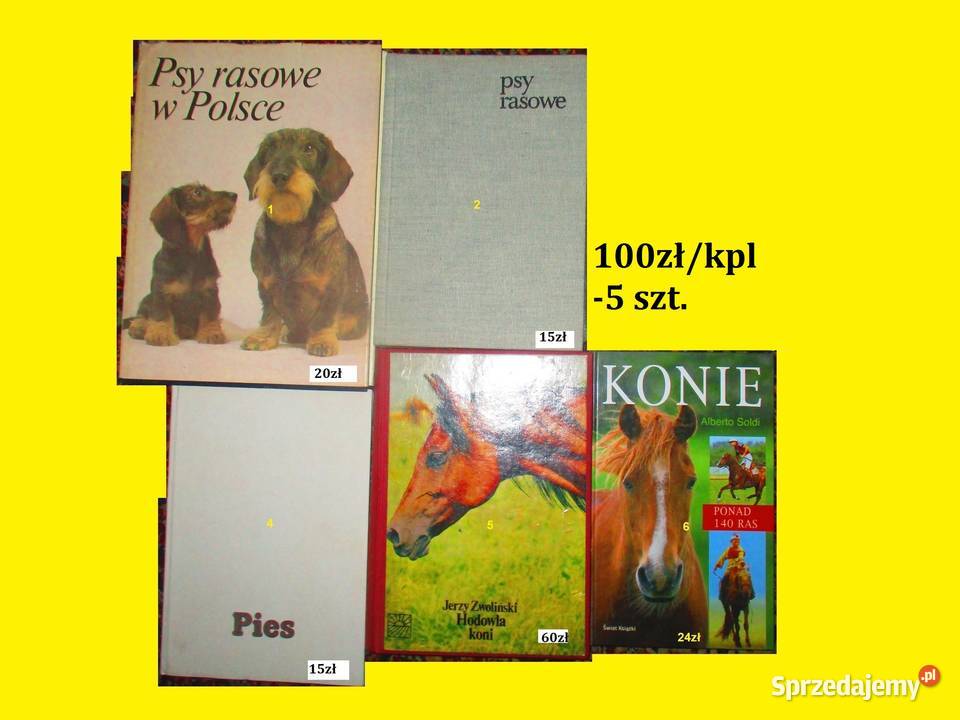 Hodowla pszczół Encyklopedia pszczelarska Łódź