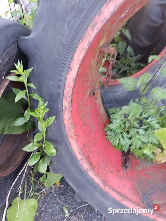 Opony Taurus 136r36 kilka sztuk Dragany