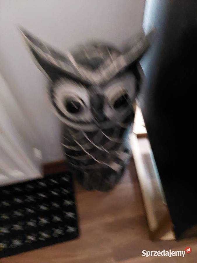 Sowa duża rzeźba drewno i mała Wrocław sprzedam