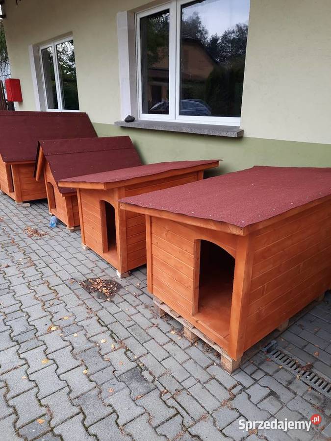 Budy w Labrador Rybnik