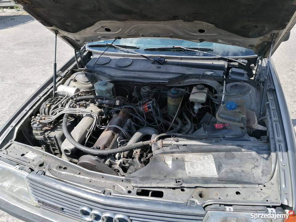 Audi 100 c3 SC quattro 85 r Nowy Sącz