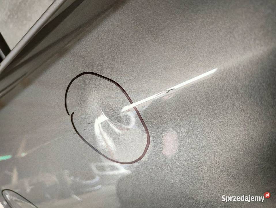 Drzwi Lewy Tył Hyundai i10 III 2019 Pleszew