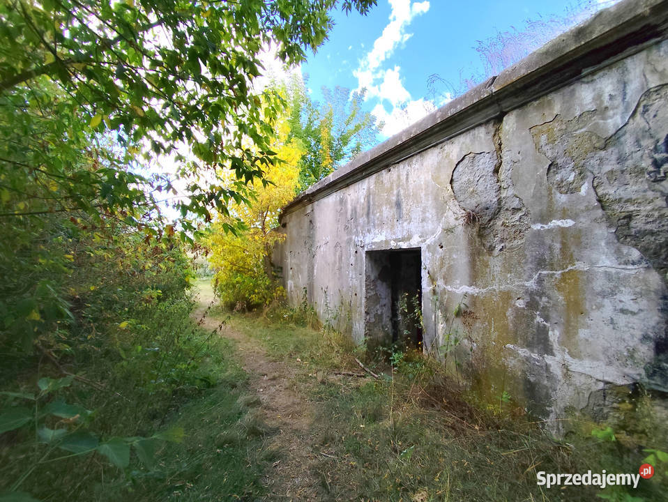 Mazowieckie 65 ha terenu inwestycyjnego Gniewoszów