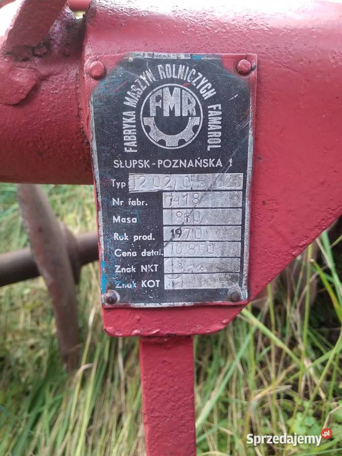 Talerzówka dolnośląskie Wąsosz sprzedam