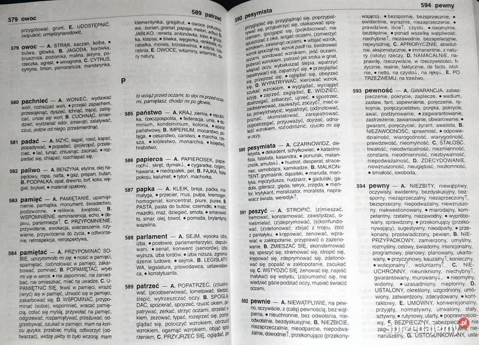 Słownik synonimów A Dąbrówka E Geller R Turczyn Chełm