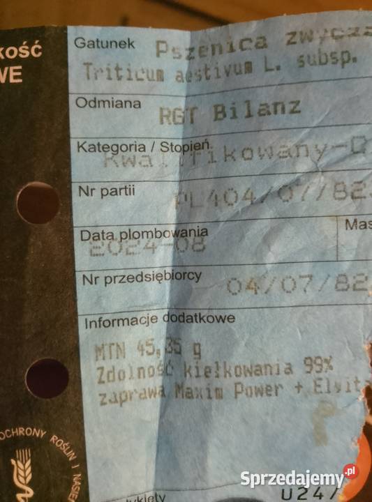 Pszenica i owies pszenica kwalifikacie