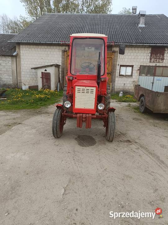 Władimirec t25A2 Ursus