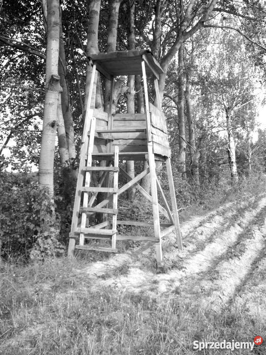 Zwyżka wzwyżka ambona myśliwska polowanie szwedz Ostróda